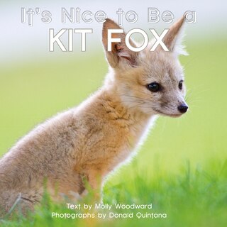 Front cover_It's Nice To Be A Kit Fox