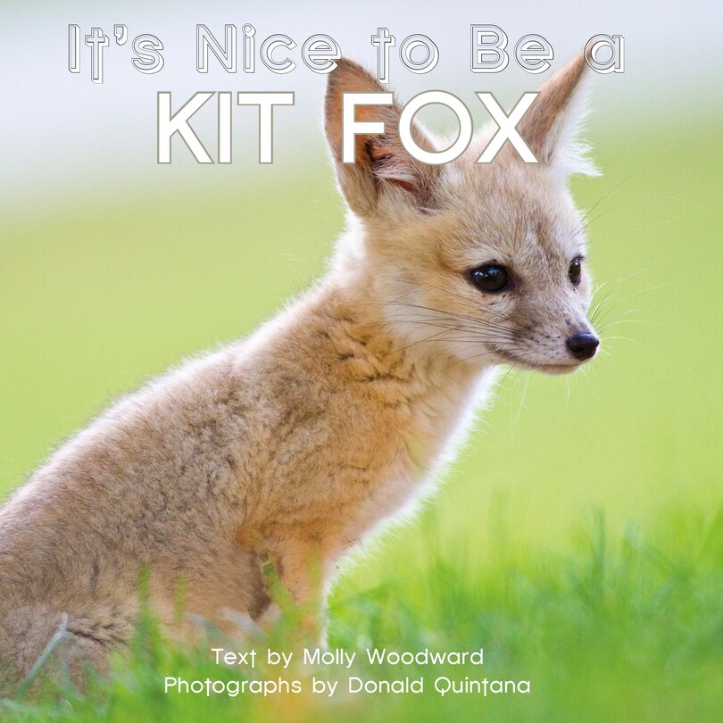Front cover_It's Nice To Be A Kit Fox