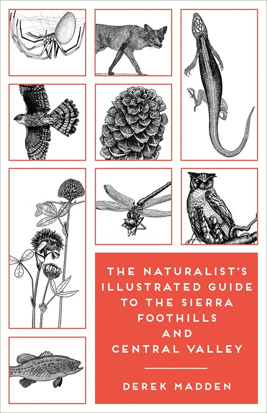 Front cover_The Naturalist's Illustrated Guide To The Sierra Foothills And Central Valley