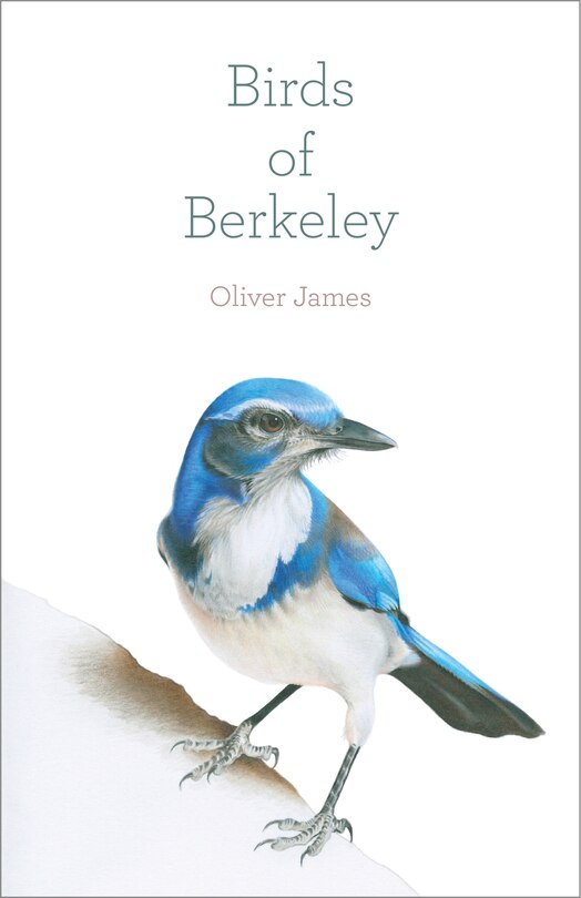 Front cover_Birds of Berkeley