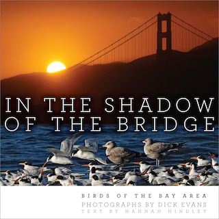 Front cover_In the Shadow of the Bridge