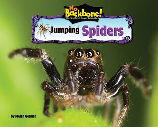 Front cover_Jumping Spiders