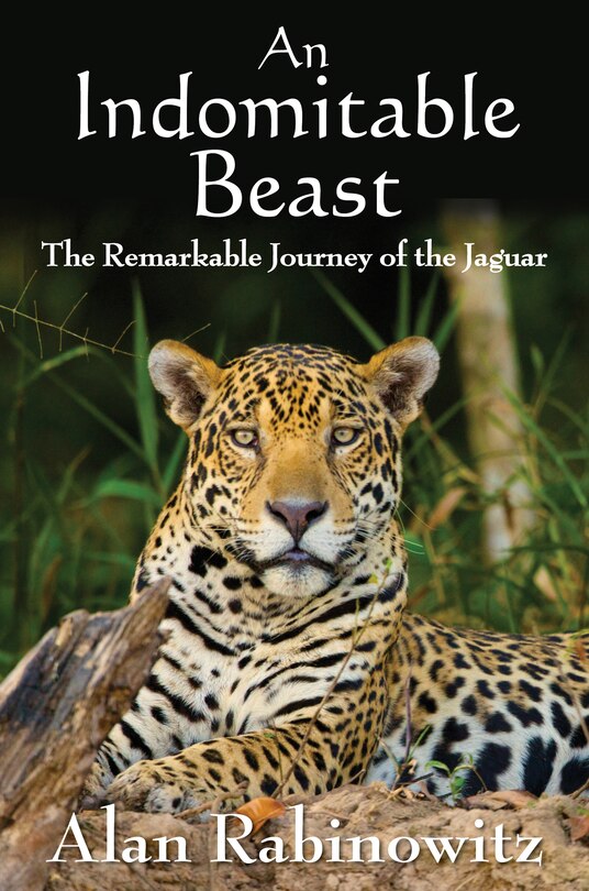 Front cover_An Indomitable Beast