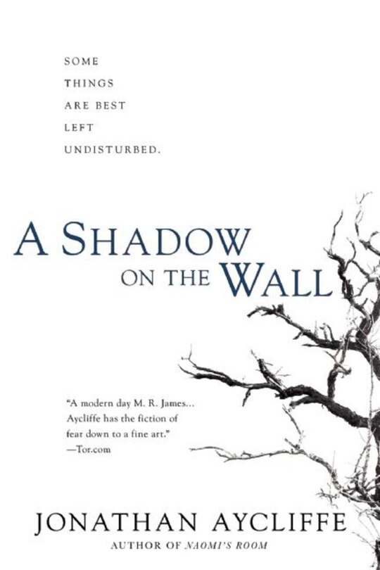 Front cover_A Shadow on the Wall