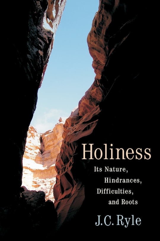 Couverture_Holiness