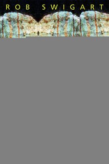 Couverture_Stone Mirror