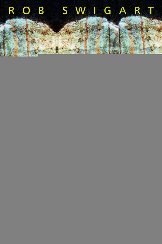 Couverture_Stone Mirror