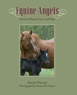 Front cover_Equine Angels