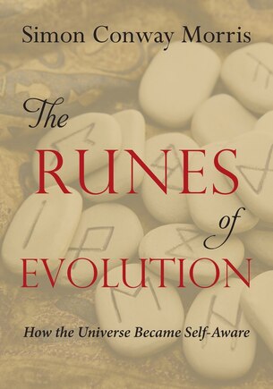 The Runes of Evolution: How the Universe became Self-Aware