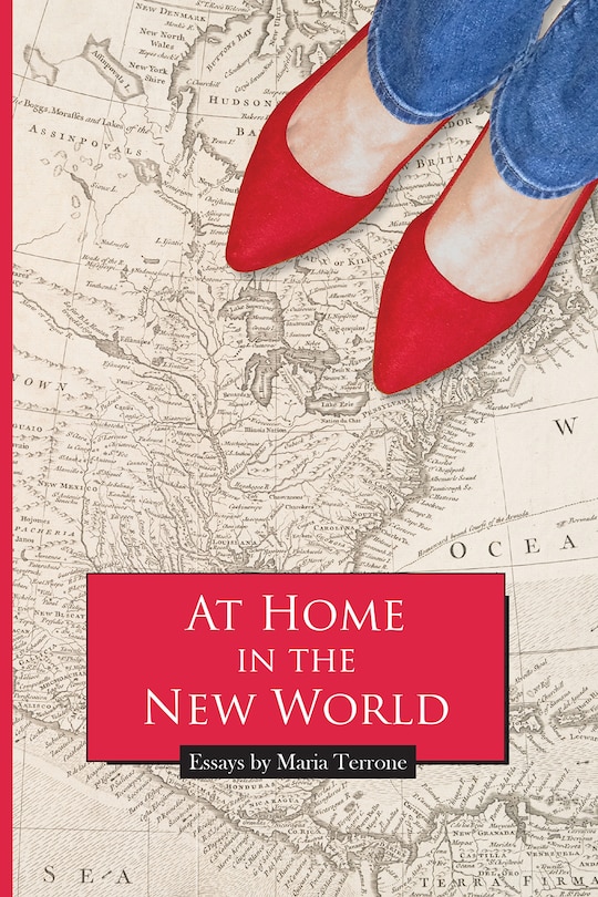 Couverture_At Home in the New World