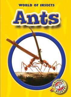 Front cover_Ants