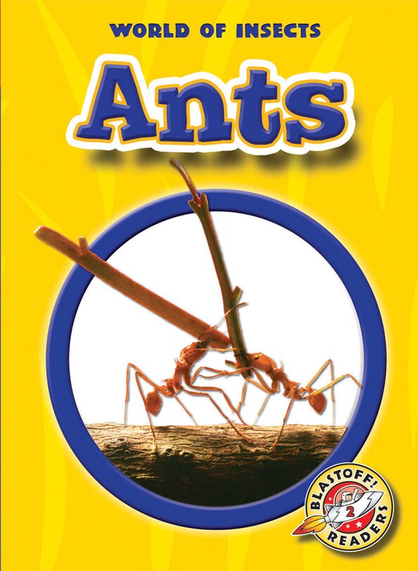 Front cover_Ants