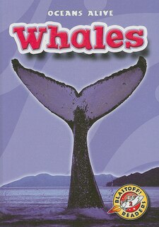 Front cover_Whales