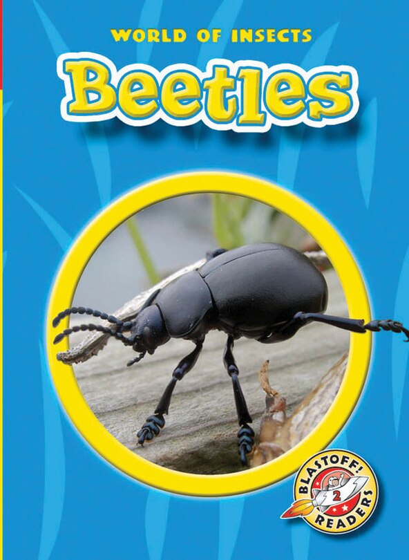 Front cover_Beetles