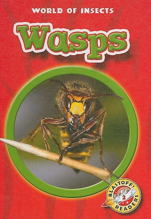 Wasps