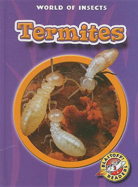 Termites