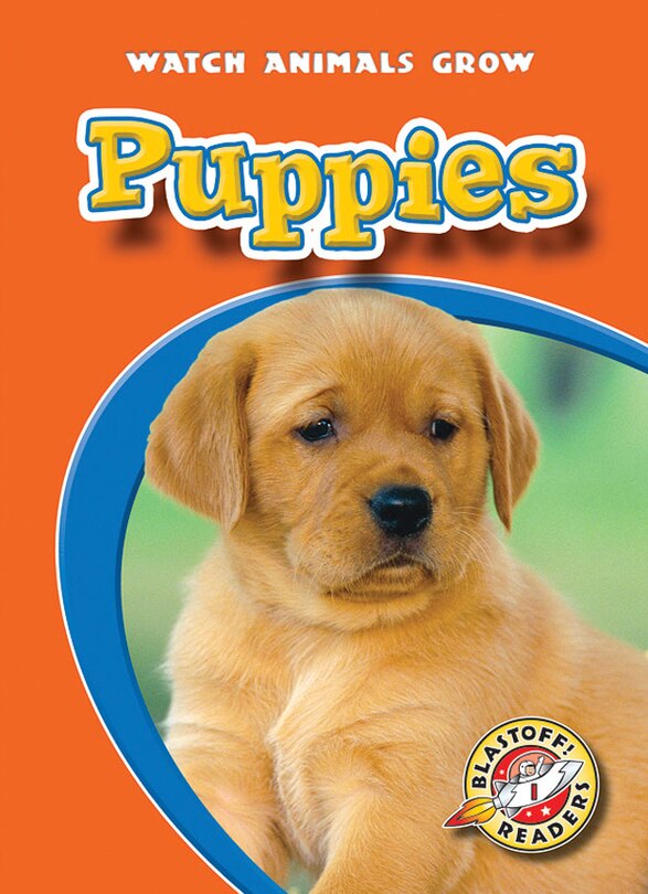 Couverture_Puppies