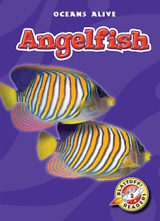 Couverture_Angelfish