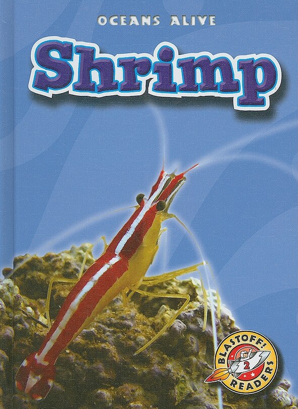 Couverture_Shrimp