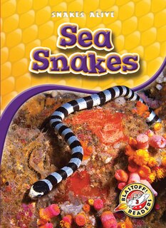 Front cover_Sea Snakes