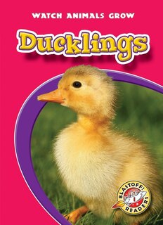 Couverture_Ducklings