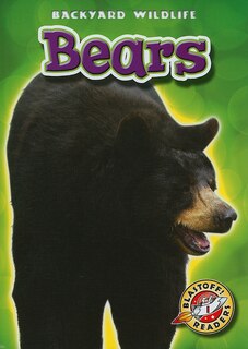 Couverture_Bears