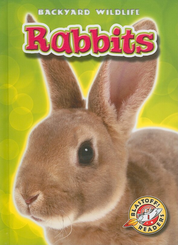Couverture_Rabbits