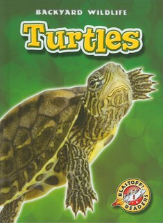 Front cover_Turtles