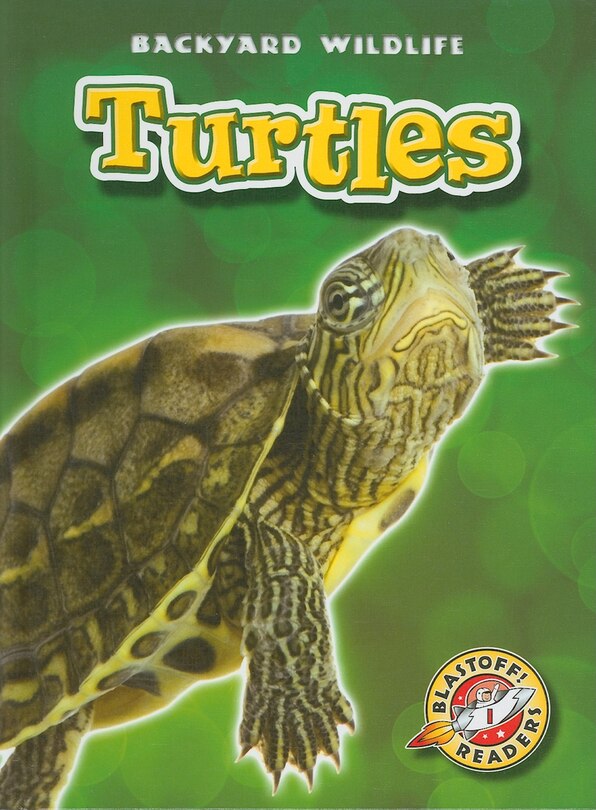 Front cover_Turtles