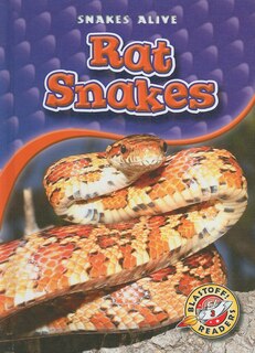 Couverture_Rat Snakes
