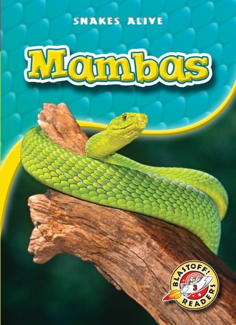 Front cover_Mambas
