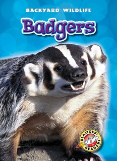 Couverture_Badgers