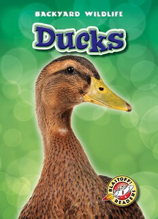 Couverture_Ducks