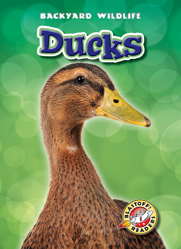 Couverture_Ducks
