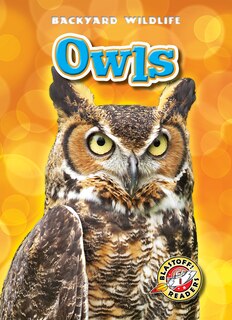 Front cover_Owls