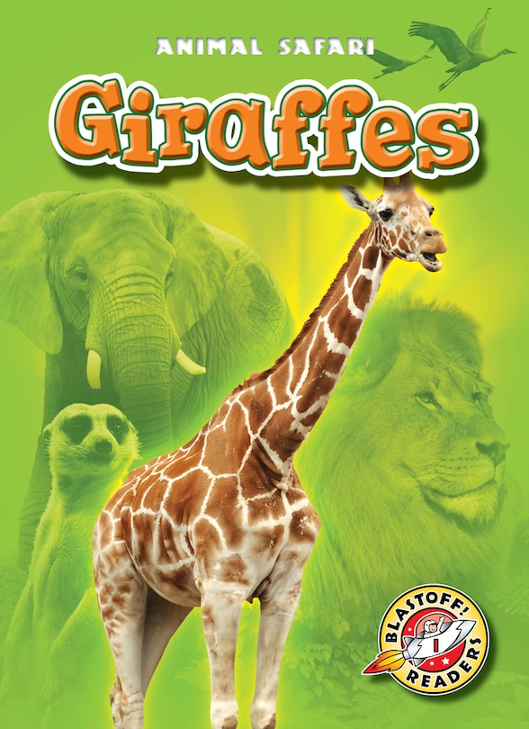 Front cover_Giraffes