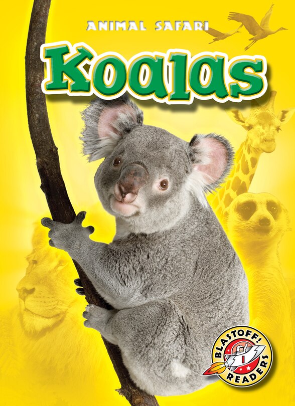Front cover_Koalas