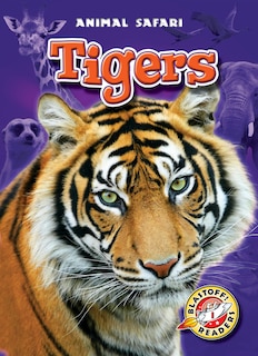 Front cover_Tigers