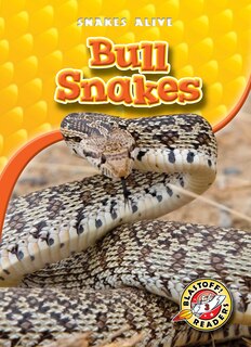 Front cover_Bull Snakes