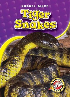 Couverture_Tiger Snakes