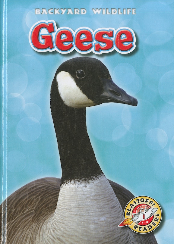 Couverture_Geese