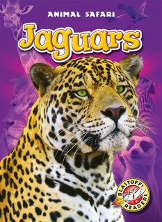 Couverture_Jaguars