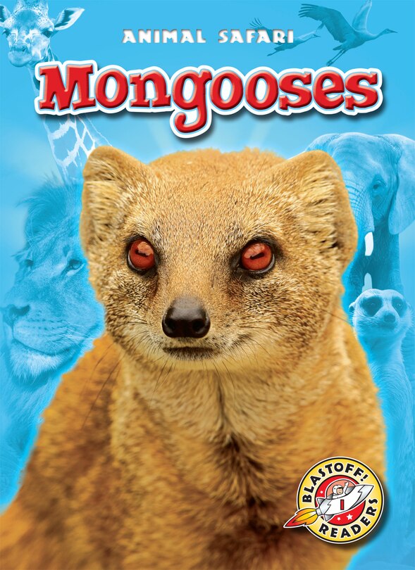 Front cover_Mongooses
