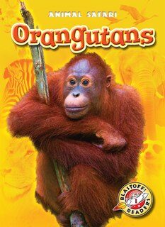 Front cover_Orangutans