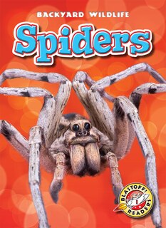 Front cover_Spiders