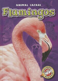 Couverture_Flamingos