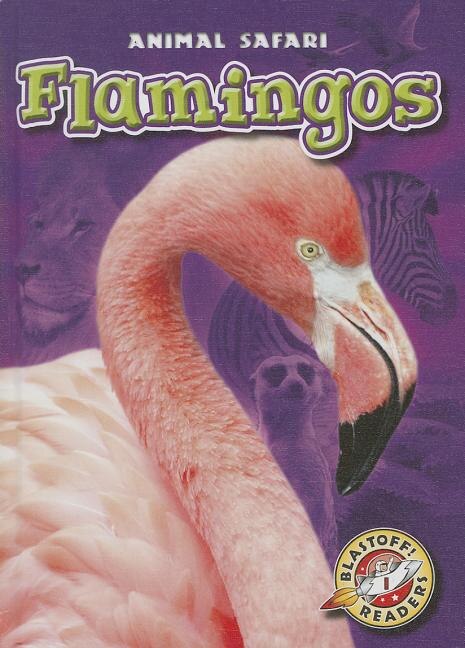 Couverture_Flamingos