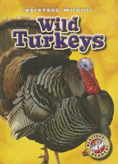 Couverture_Wild Turkeys