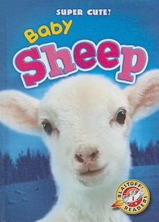 Couverture_Baby Sheep