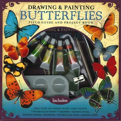 Couverture_Drawing & Painting Butterflies